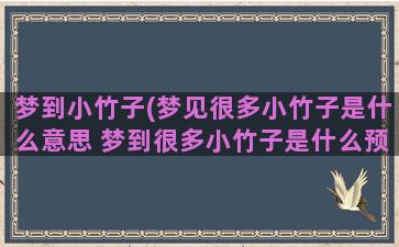 梦到小竹子(梦见很多小竹子是什么意思 梦到很多小竹子是什么预兆)